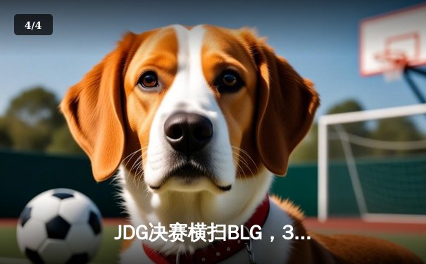 JDG决赛横扫BLG，369超神发挥助力勇夺LPL春季赛冠军 - 4